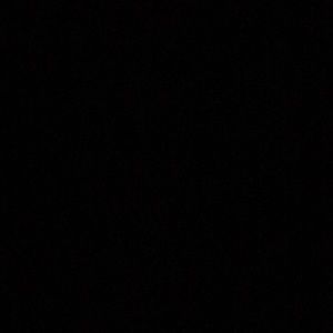 Meet your Posher, Cheyenne